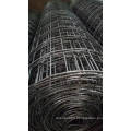 Welded Wire Mesh in Black